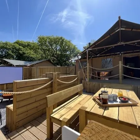 Jungle Book Safari Tent Tenby Room photo